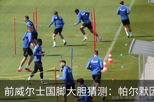前威尔士国脚大胆猜测：帕尔默因世界杯缺席心怀不平，选择退训